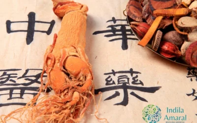 Las diferentes fases del ciclo menstrual en la Medicina China