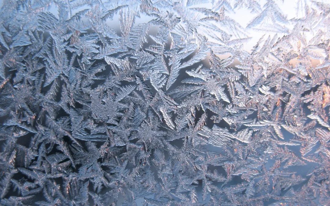 Enfermedades invernales